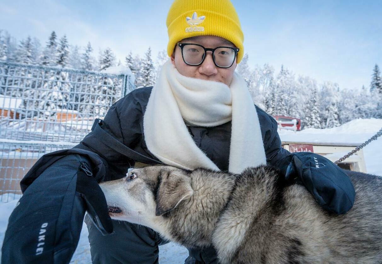Описание изображения