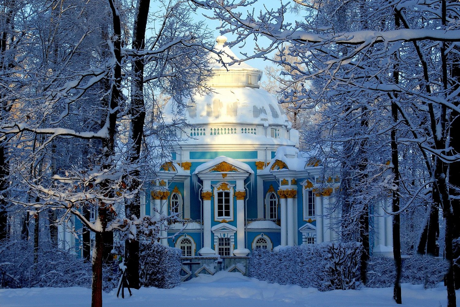 Царское село музей-заповедник зимой