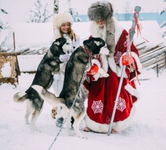 Описание изображения
