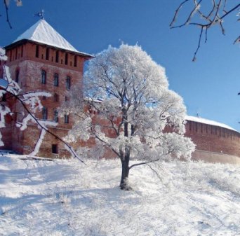 Описание изображения