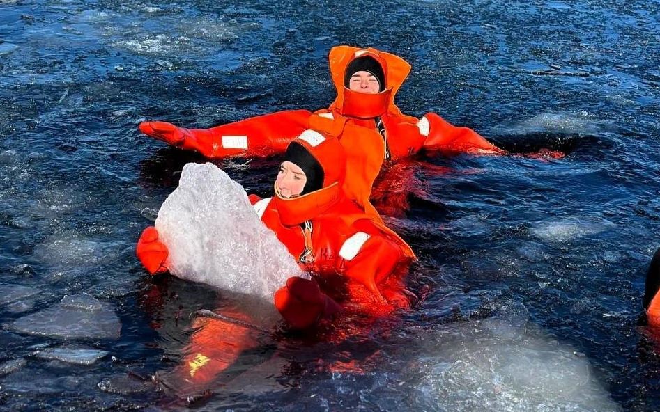 Описание изображения