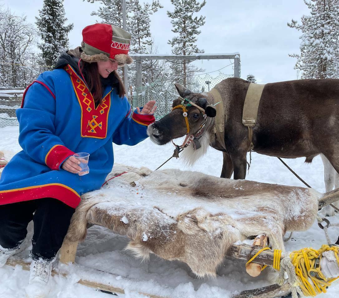 Описание изображения