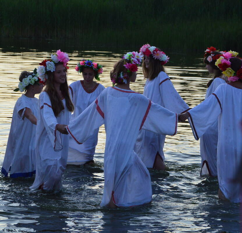 Описание изображения