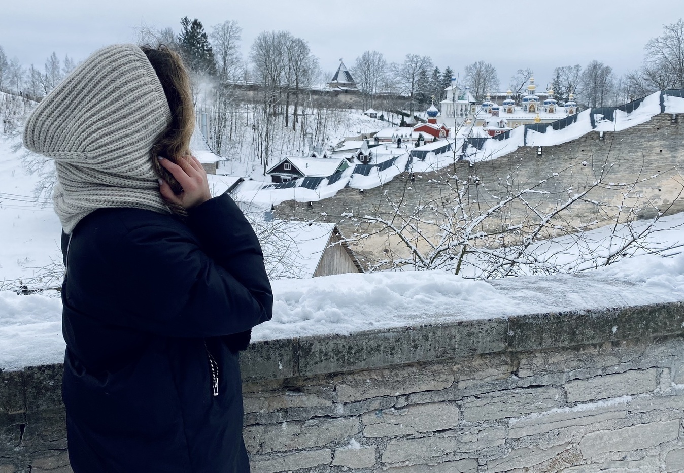 Описание изображения