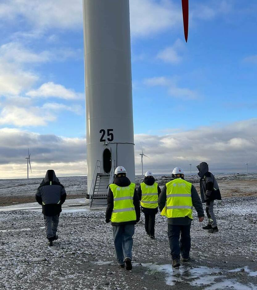 Описание изображения