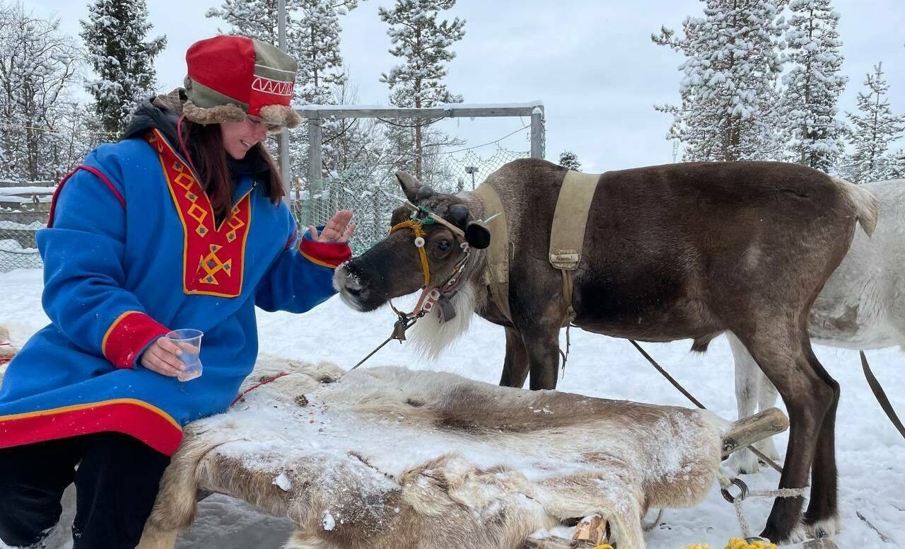 Описание изображения
