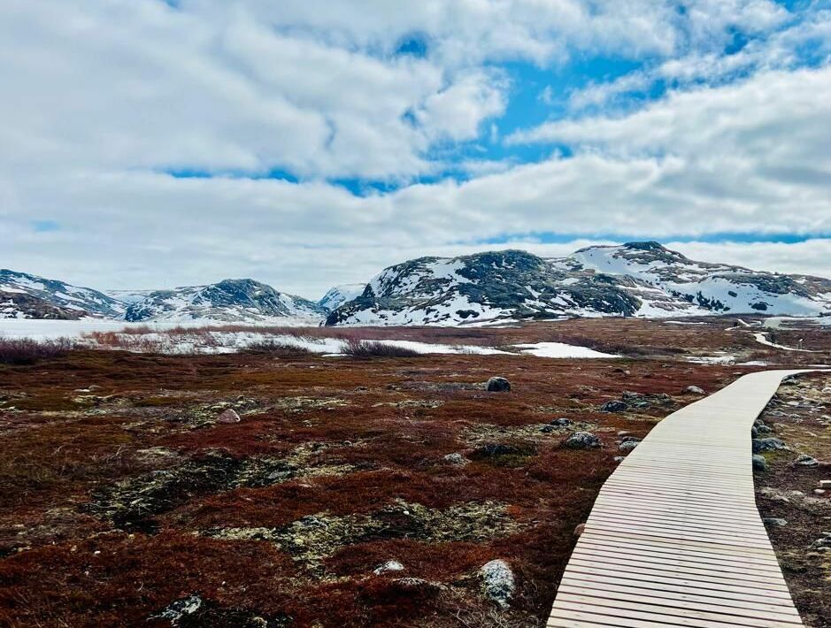 АВТОРСКИЕ ТУРЫ BARONTOUR