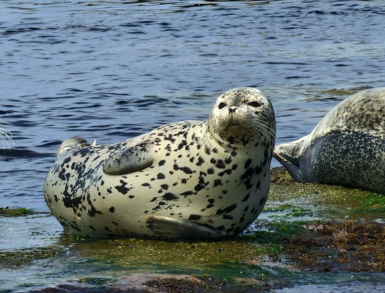 ВЛАДИВОСТОК