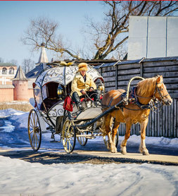 Описание изображения