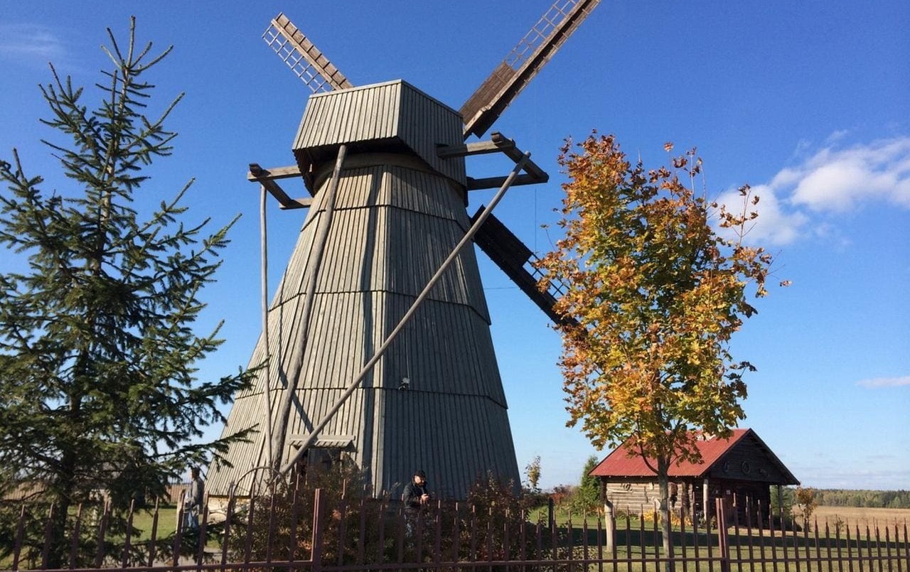 Описание изображения