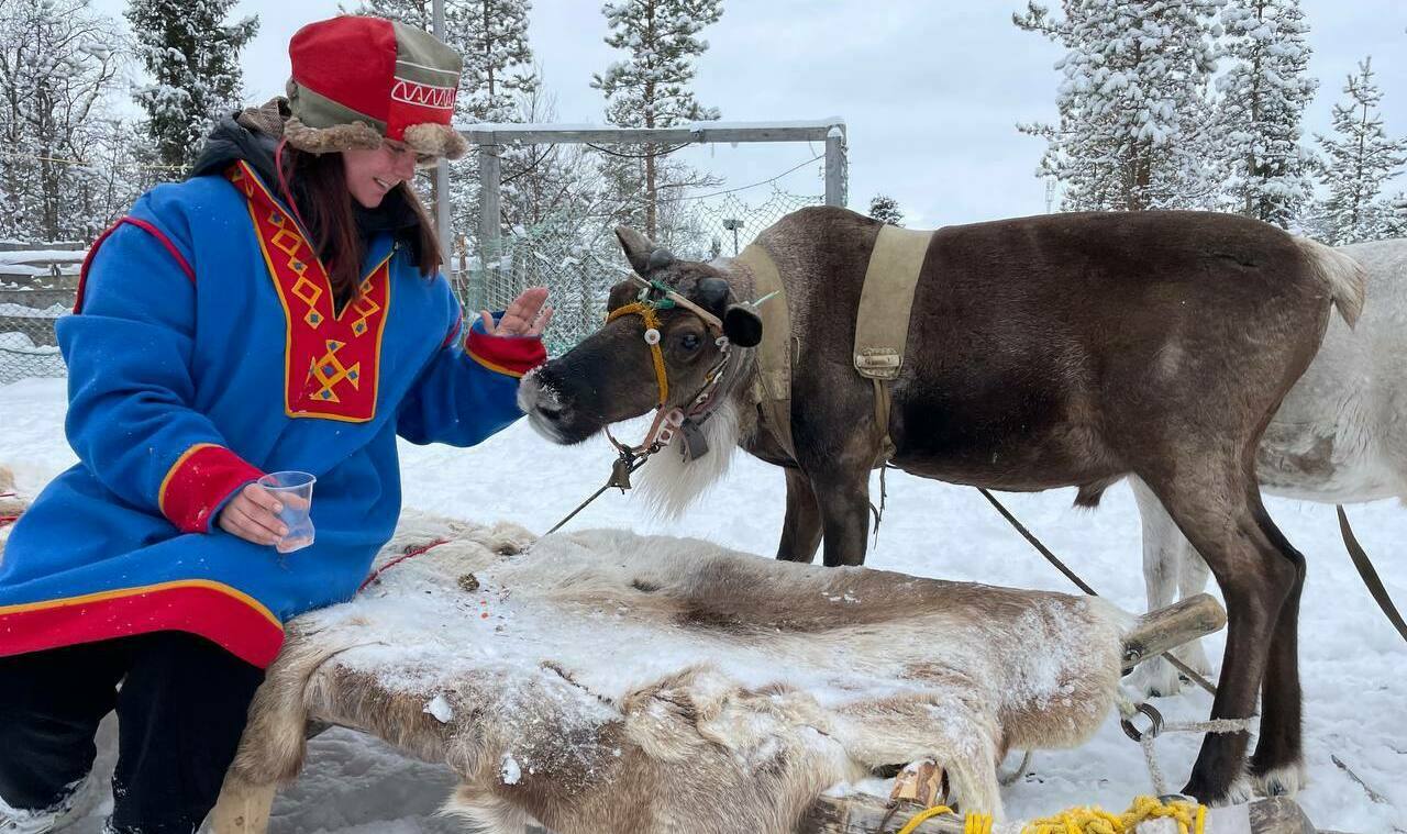 Описание изображения