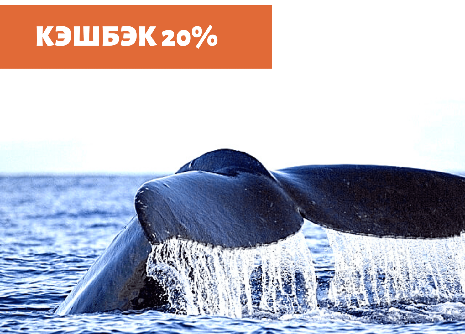 Описание изображения