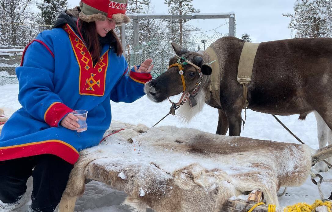 Описание изображения