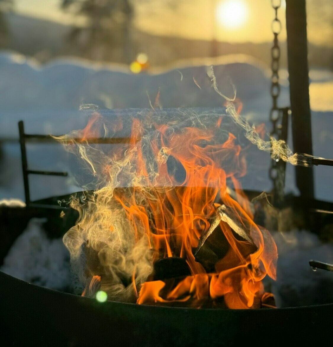 Описание изображения