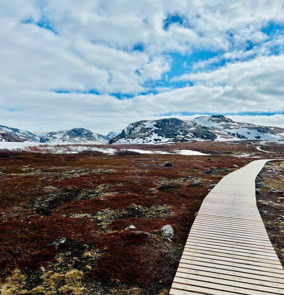 АВТОРСКИЕ ТУРЫ BARONTOUR