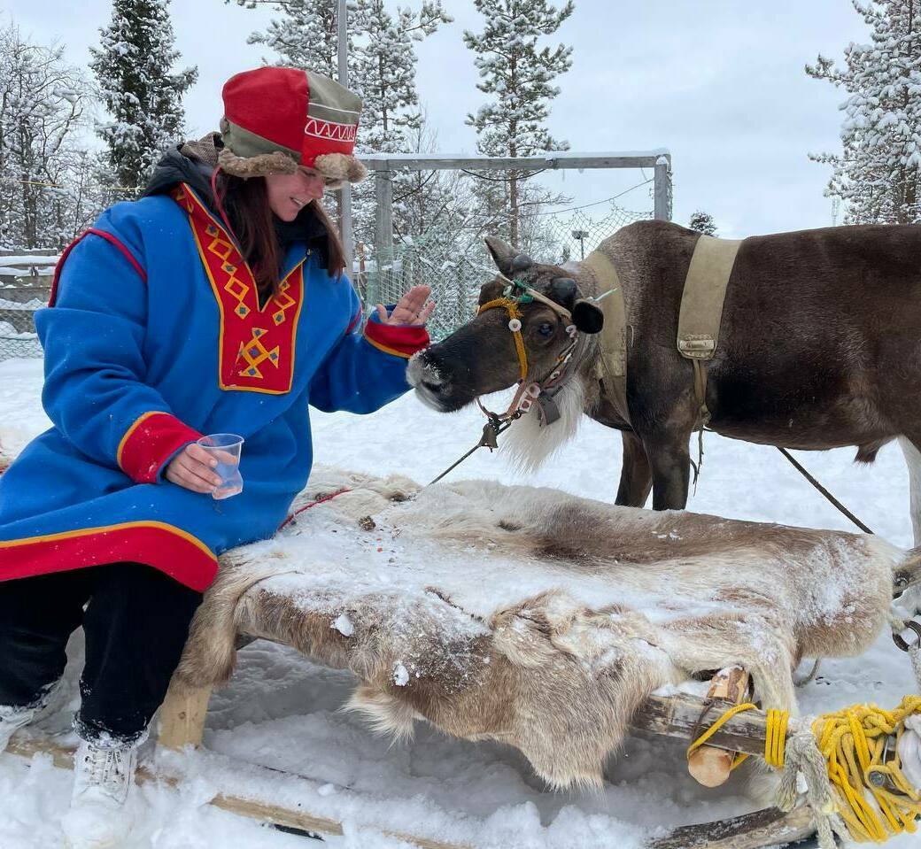 Описание изображения