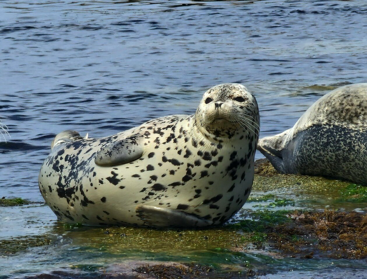 ВЛАДИВОСТОК