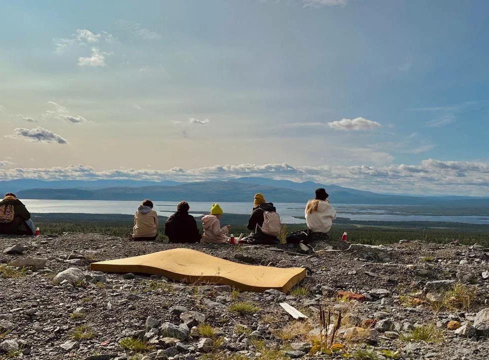 Описание изображения