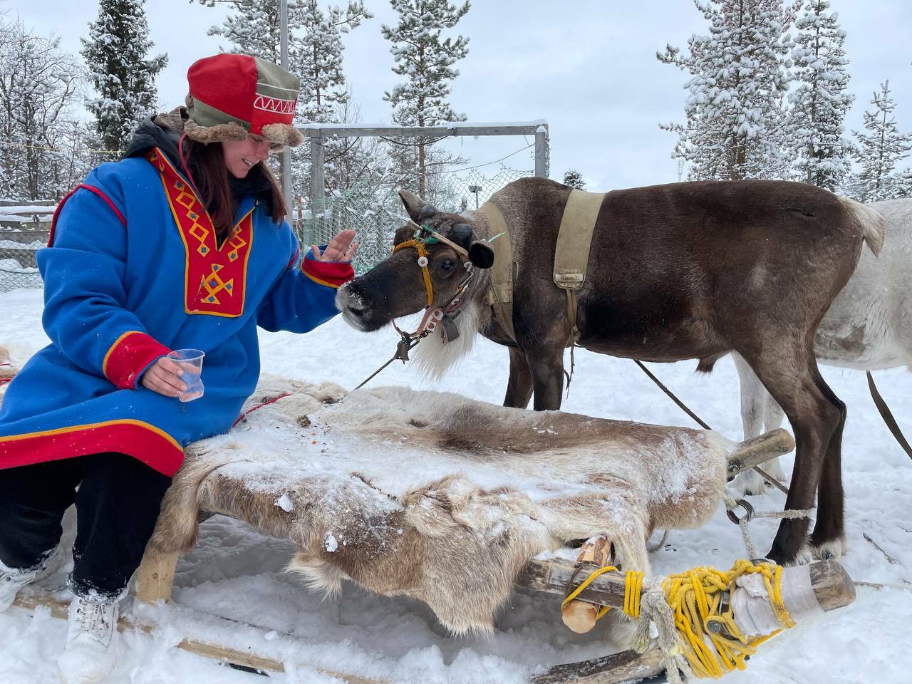 Саамская деревня